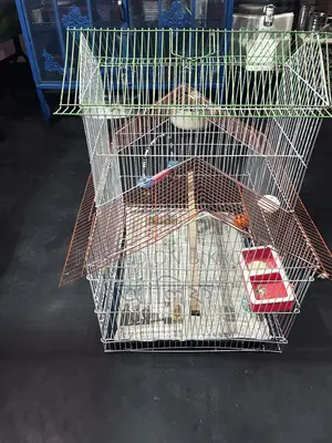 পাখির খাচা নতুন ৬ দিন হলো কিনসি