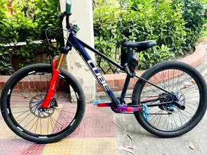 Stunt Cycle