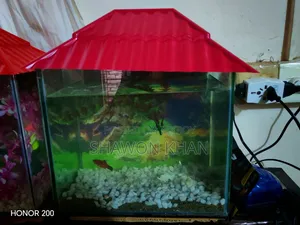 Aquarium for Sale