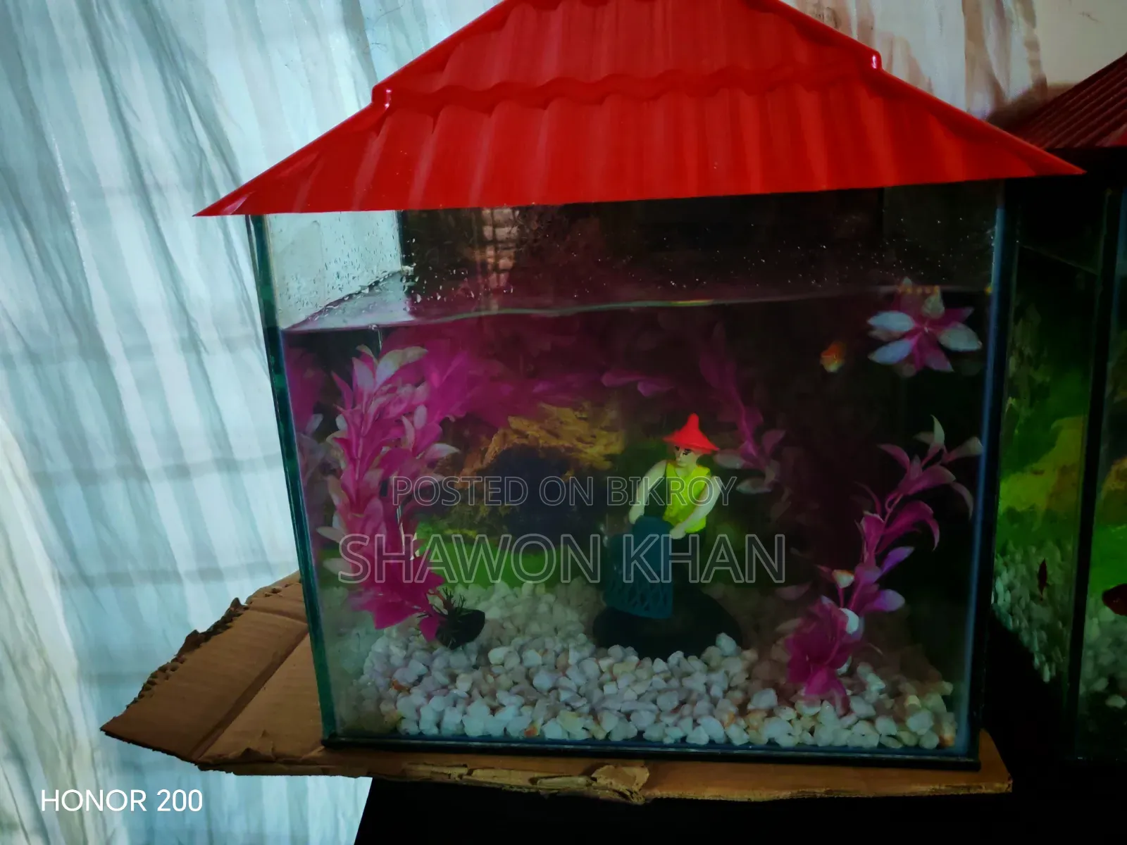 Aquarium for Sale