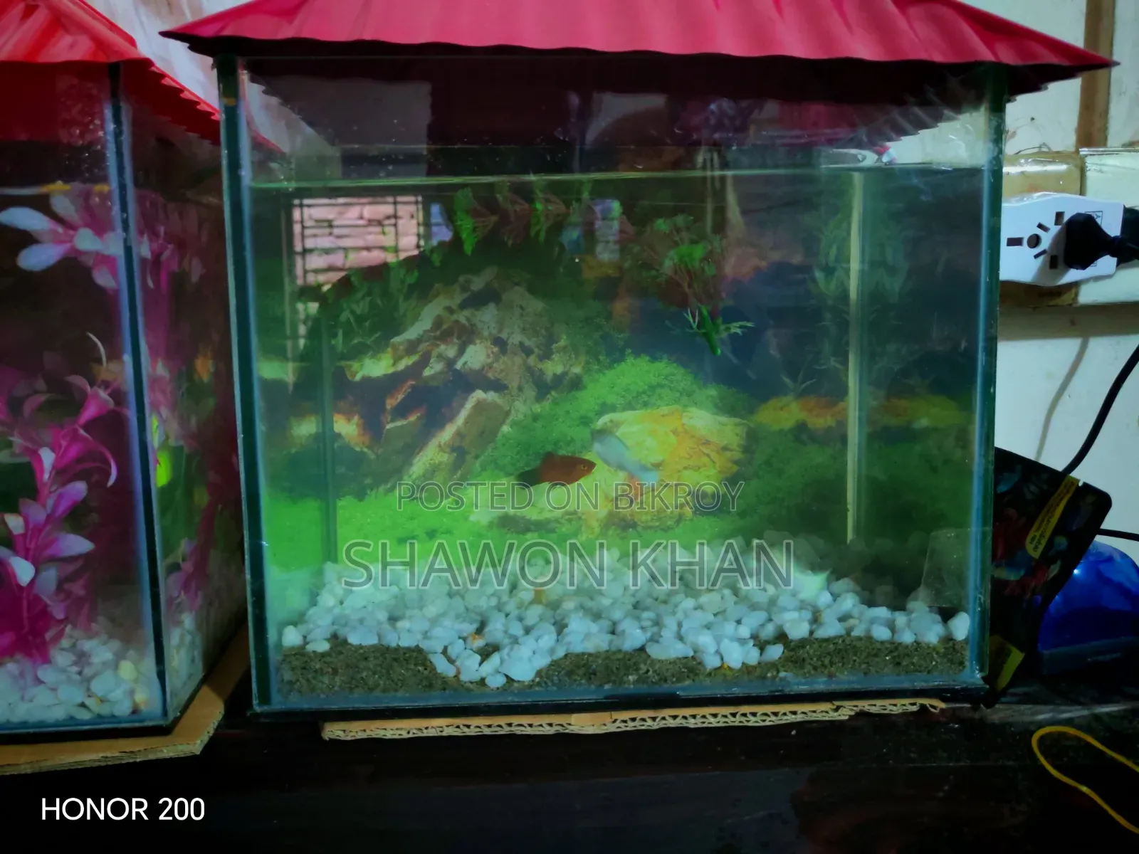 Aquarium for Sale