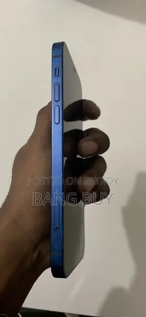 অ্যাপল আইফোন ১২ ৬৪ জিবি নীল