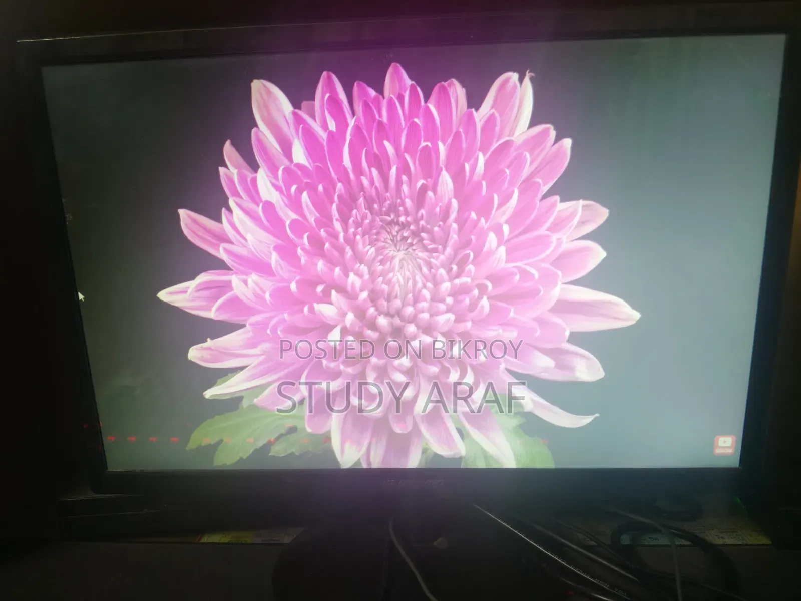 19 Inch Hi Power Monitor