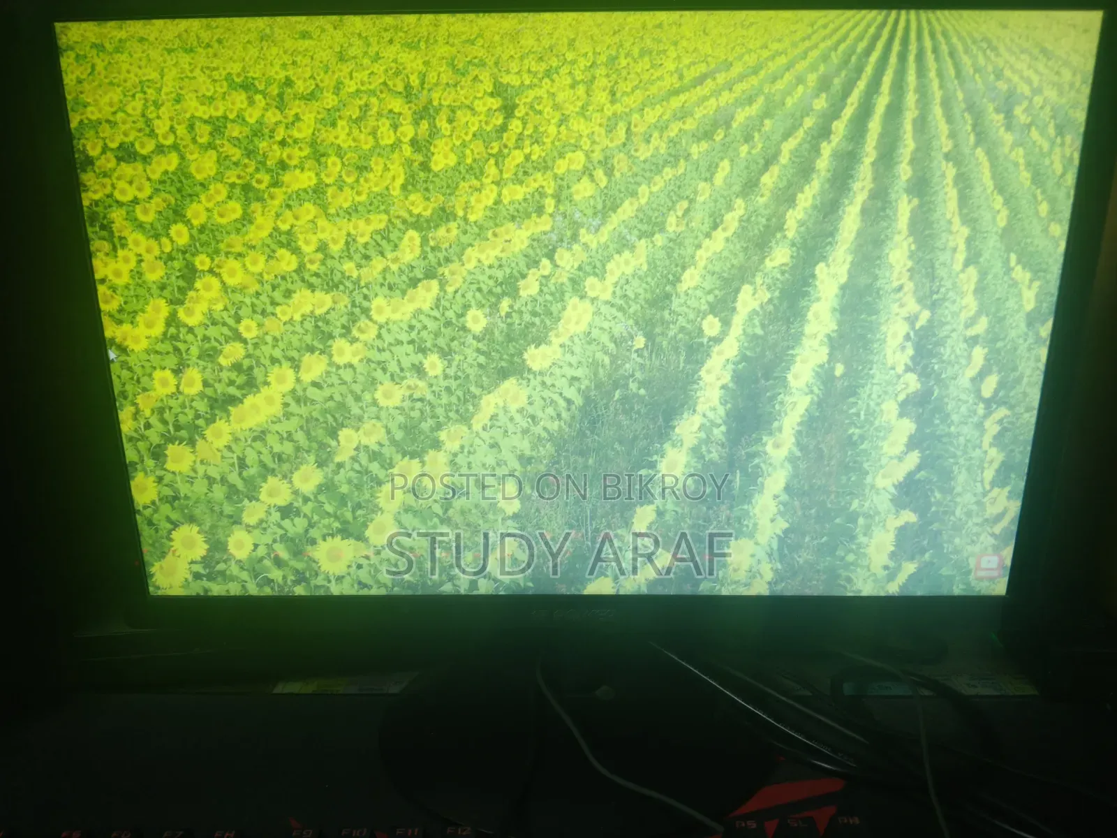 19 Inch Hi Power Monitor