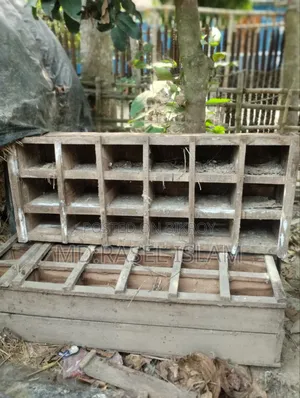 Pigeon Coop