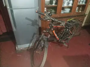 Gear Shifted Bicycle
