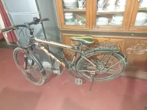 Gear Shifted Bicycle