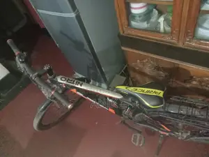 Gear Shifted Bicycle