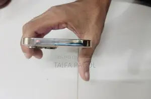 অ্যাপল আইফোন ১৩ প্রো ম্যাক্স ২৫৬ জিবি রোজ গোল্ড