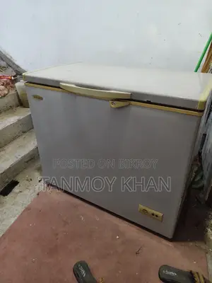 Singer Deep Fridge
