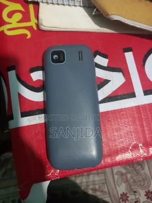 আইটেল আইটি২১৭৩ সিলভার