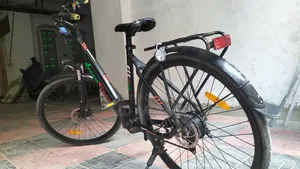 Ecycle Green Tiger