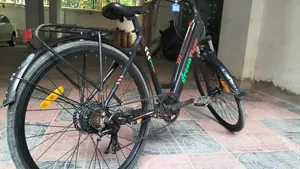 Ecycle Green Tiger