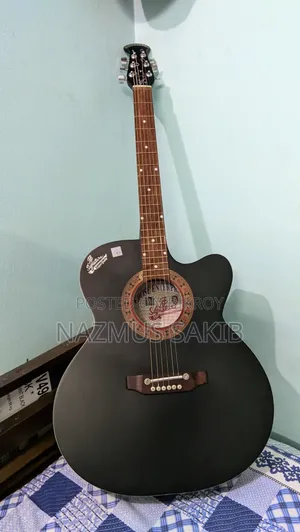 🎸 Original Signature 265 Acoustic Guitar for Sale — Brand New Condition