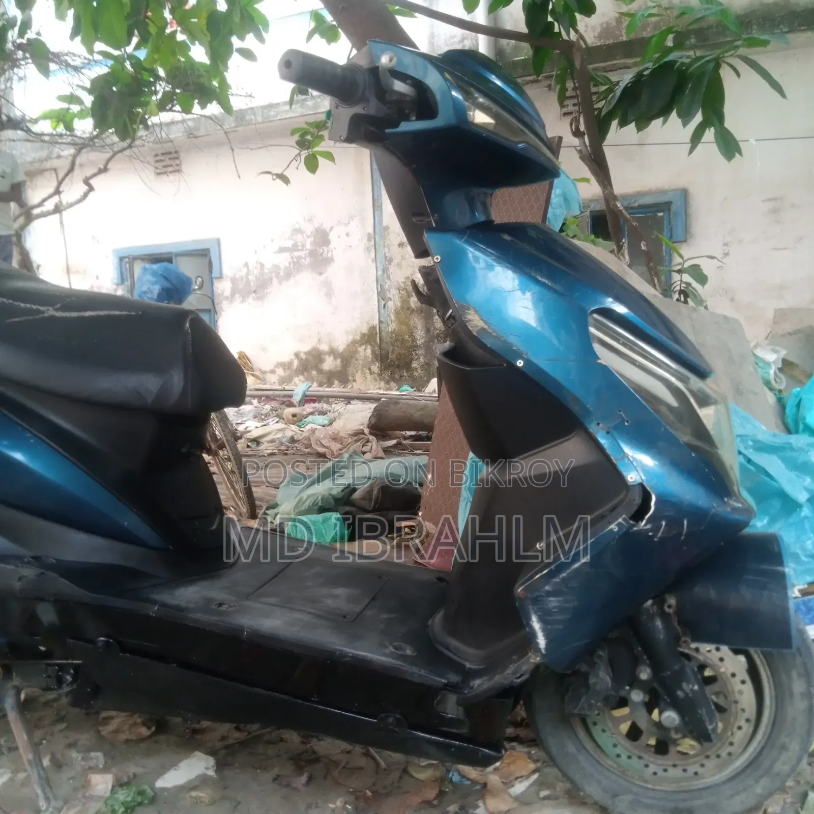 গ্রিন টাইগার জেআর (লাইট)-ভি২ ২০২২ নীল
