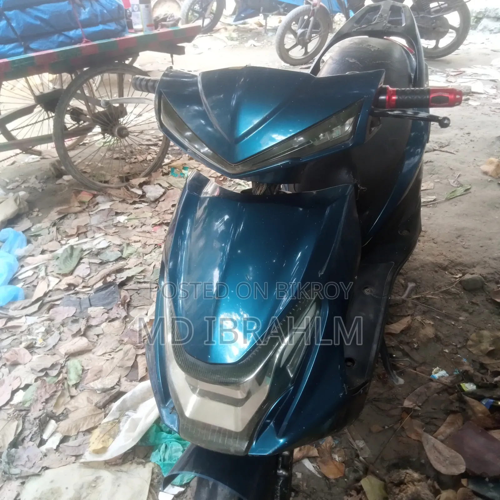 গ্রিন টাইগার জেআর (লাইট)-ভি২ ২০২২ নীল