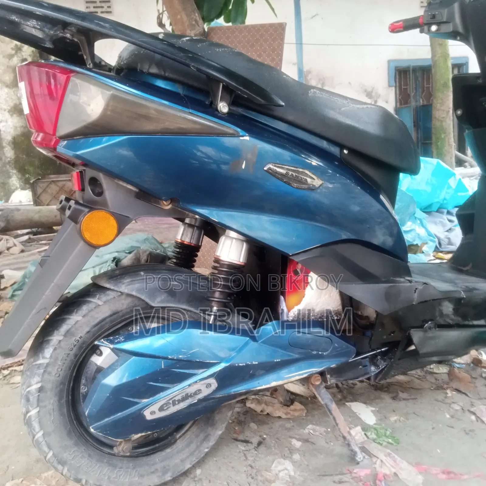গ্রিন টাইগার জেআর (লাইট)-ভি২ ২০২২ নীল