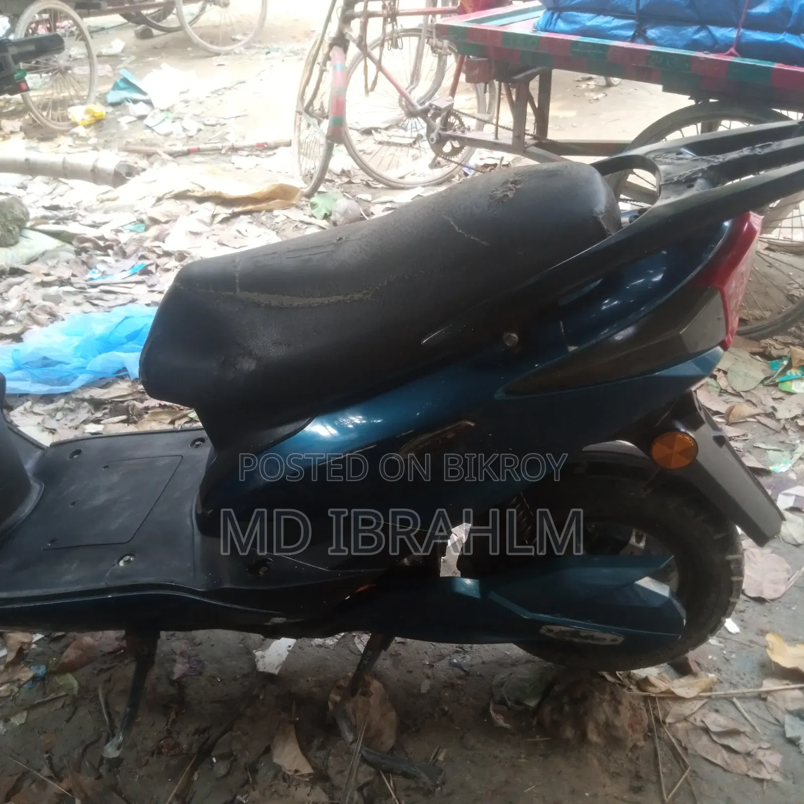 গ্রিন টাইগার জেআর (লাইট)-ভি২ ২০২২ নীল
