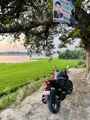 New Honda Hornet 2026 Gray