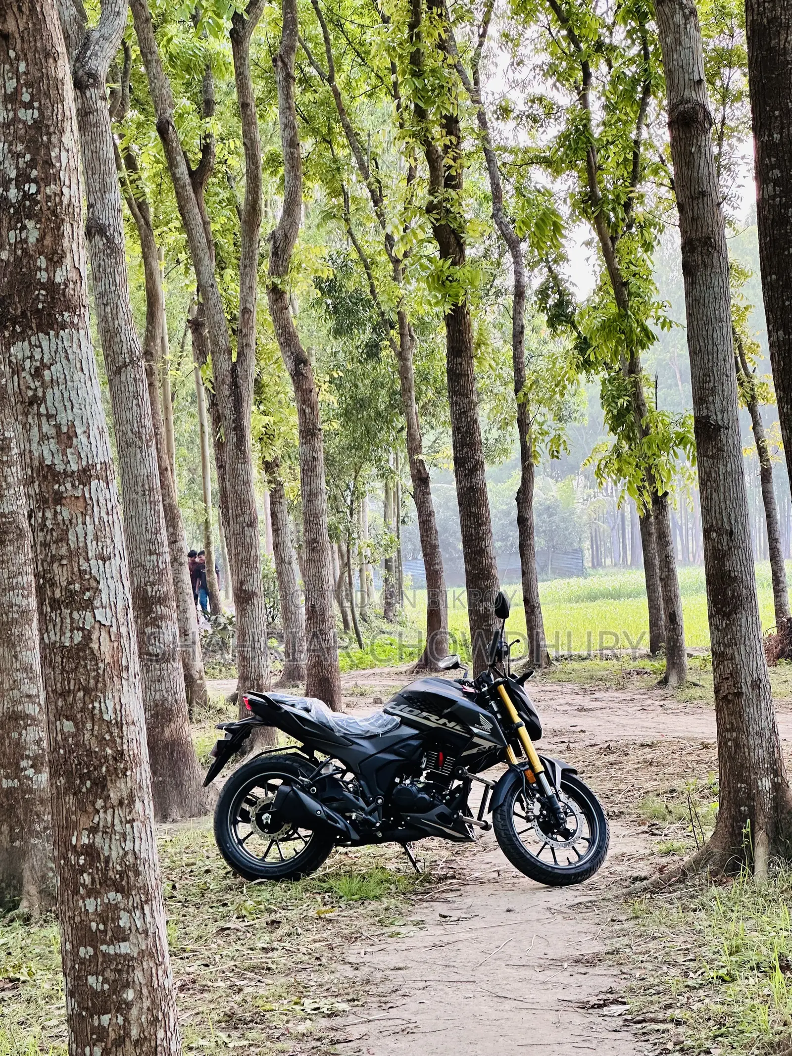 New Honda Hornet 2026 Gray