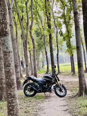 New Honda Hornet 2026 Gray