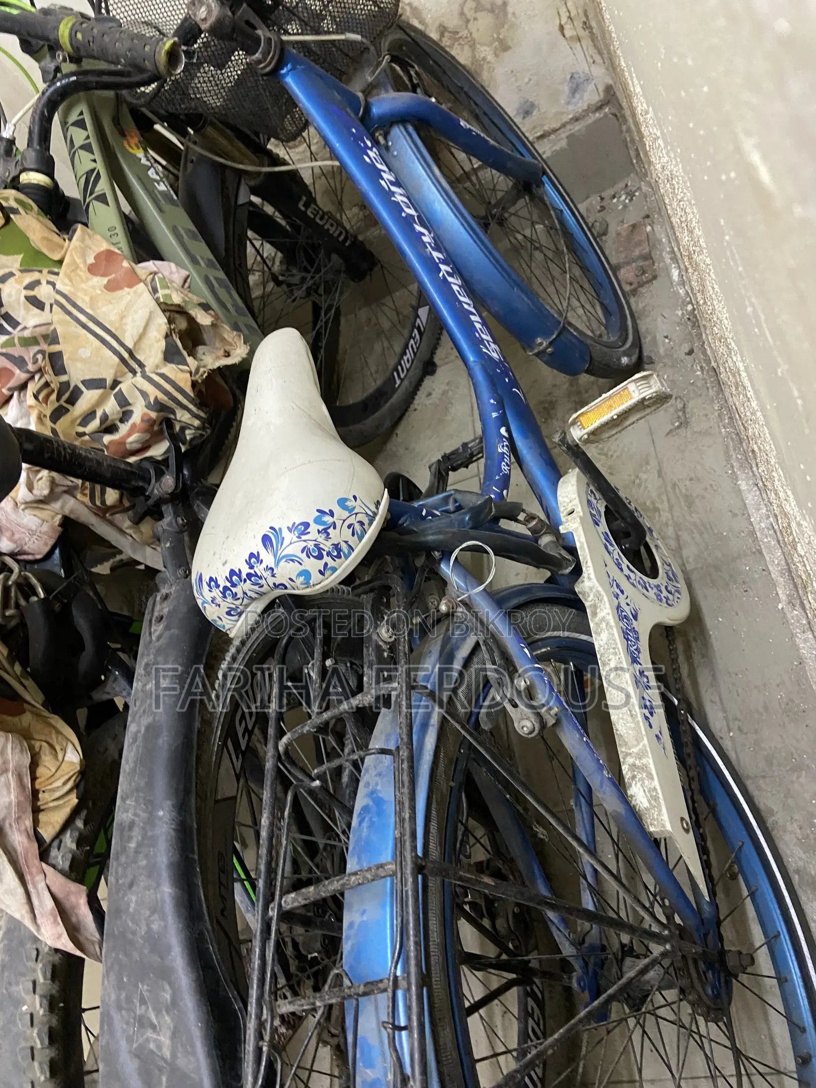 Ladies Cycle