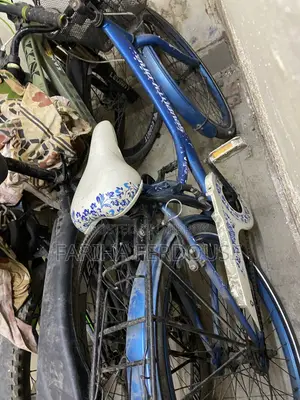 Ladies Cycle