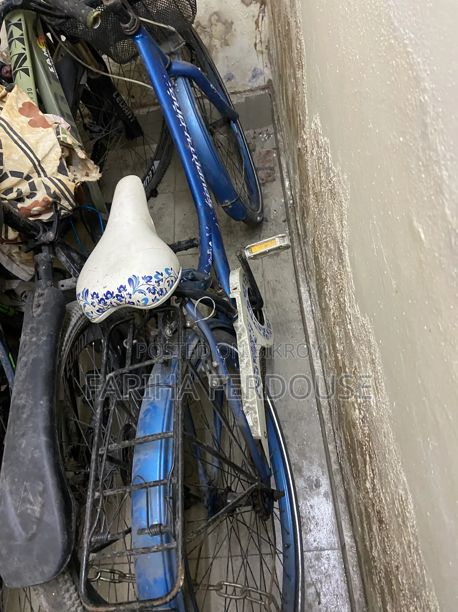 Ladies Cycle