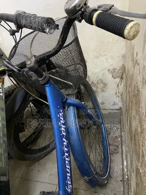 Ladies Cycle