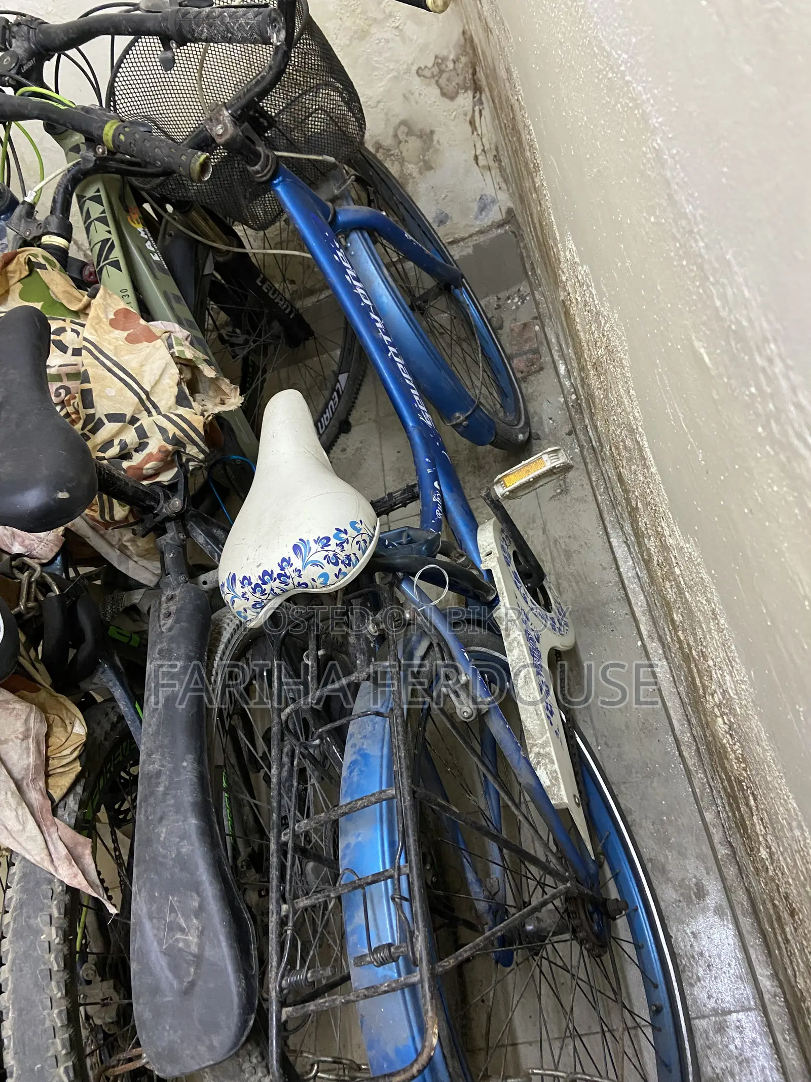 Ladies Cycle