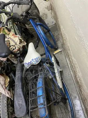 Ladies Cycle