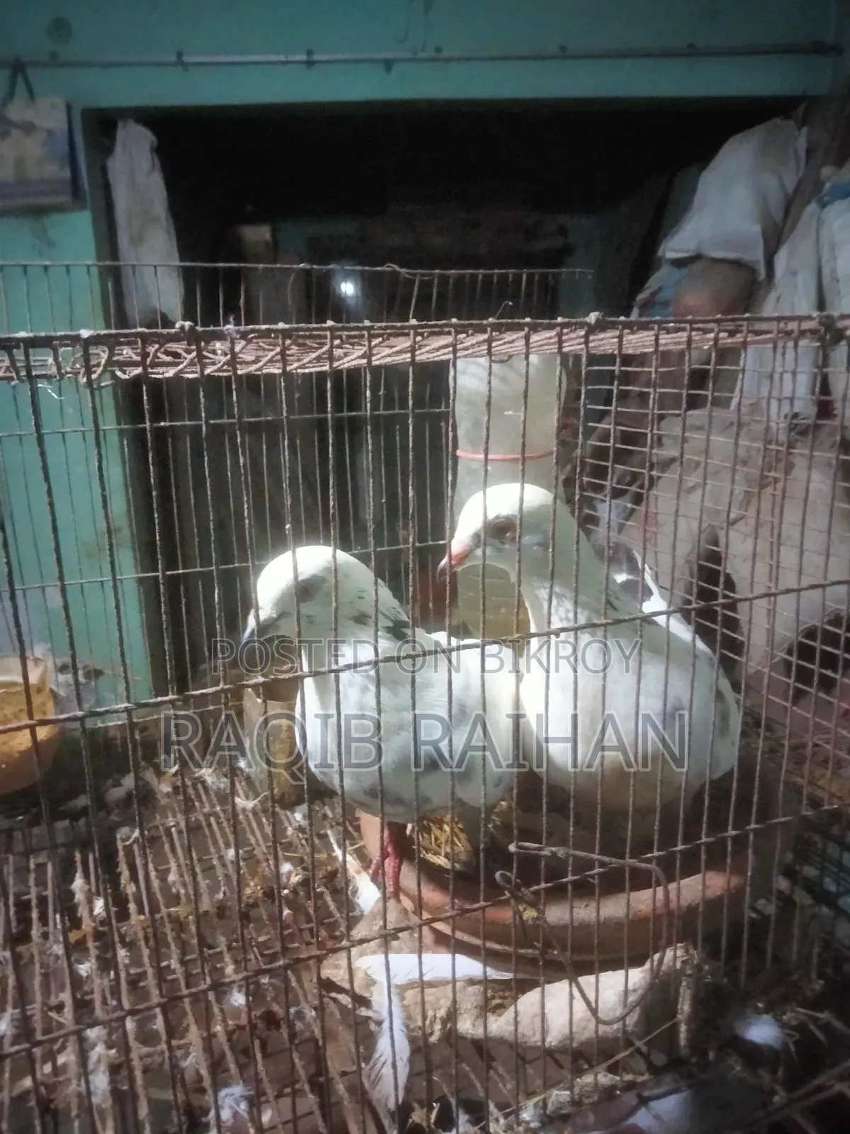 হোমা রেসার বিক্রি করা হবে।