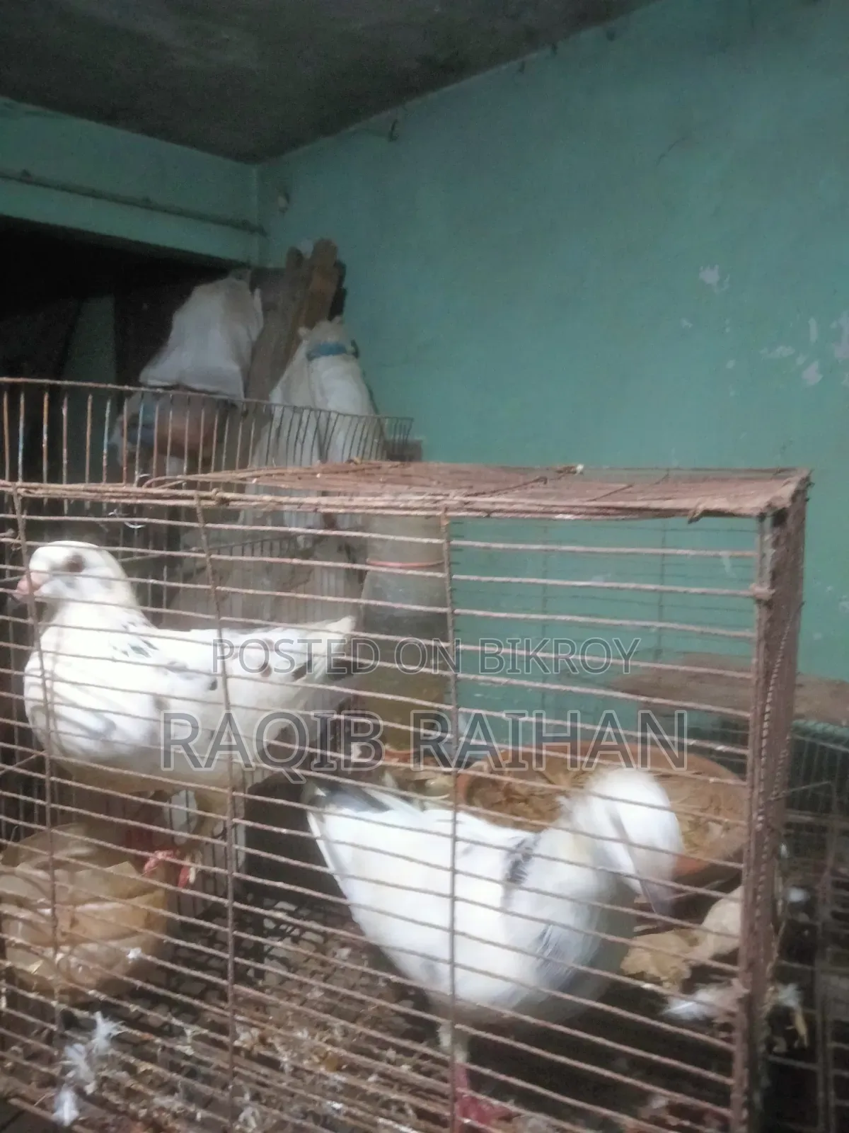 হোমা রেসার বিক্রি করা হবে।