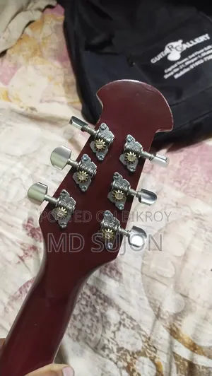 Signature Original Guitar