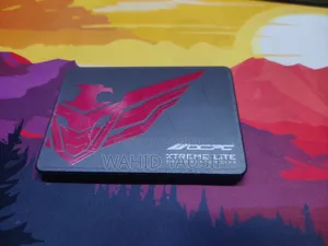 SATA Extreme Lite SSD Drive 256 GB