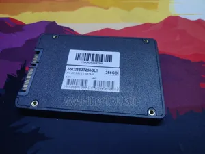 SATA Extreme Lite SSD Drive 256 GB