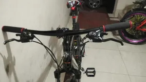 A bicycle for sale