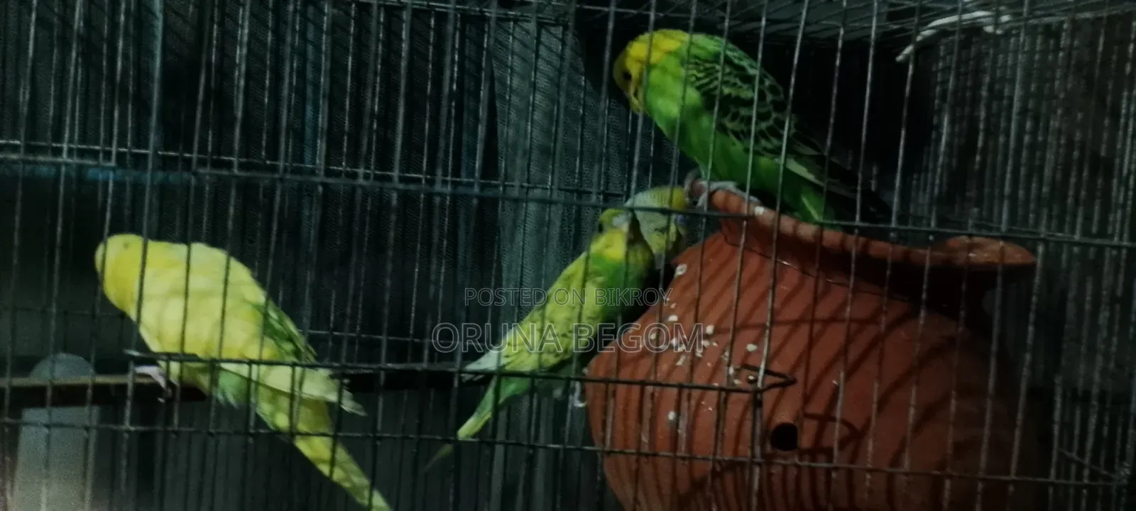মোবাইল ক্লিপ লেন্স