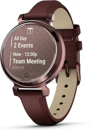 GARMIN LILY 2 DARK BRONZE CASE (Only Pre - Order)