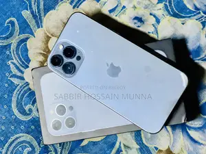 অ্যাপল আইফোন ১৩ প্রো ম্যাক্স ১২৮ জিবি নীল