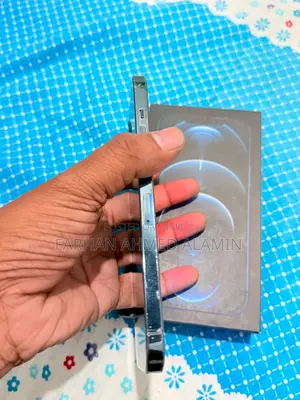 Apple iPhone 12 Pro Max 256 GB Blue
