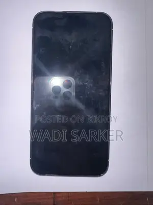 অ্যাপল আইফোন ১৩ প্রো ২৫৬ জিবি সাদা