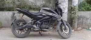 Bajaj Pulsar NS 160 2020 Gray