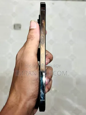 অ্যাপল আইফোন ১২ প্রো ম্যাক্স ১২৮ জিবি সিলভার