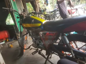 দায়াং DY110-15M ২০১০ নীল