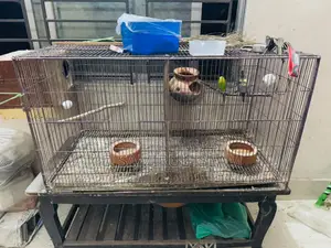 Cage Love Birds