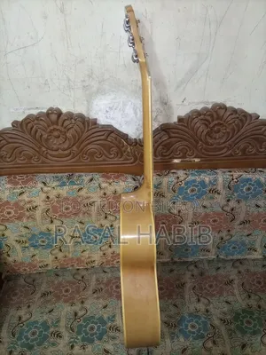 AKS Brand Guitar