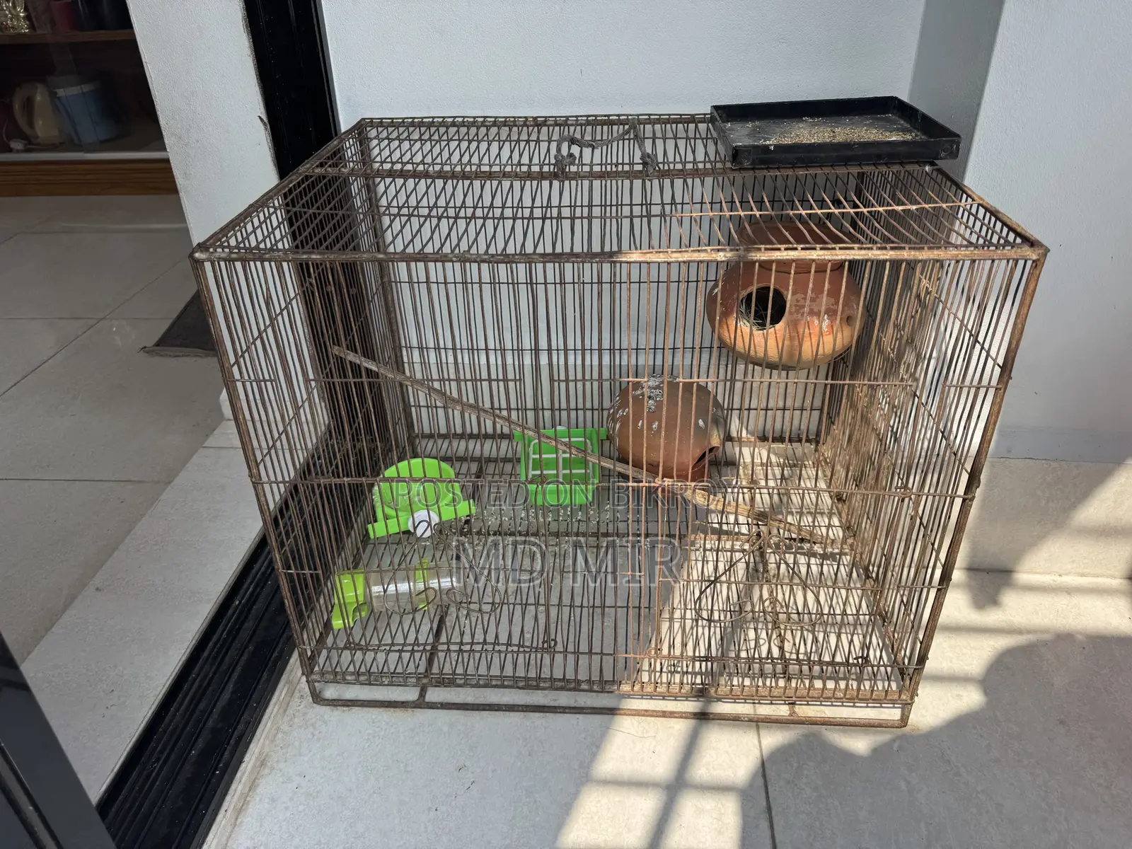Bird Cage