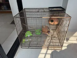 Bird Cage