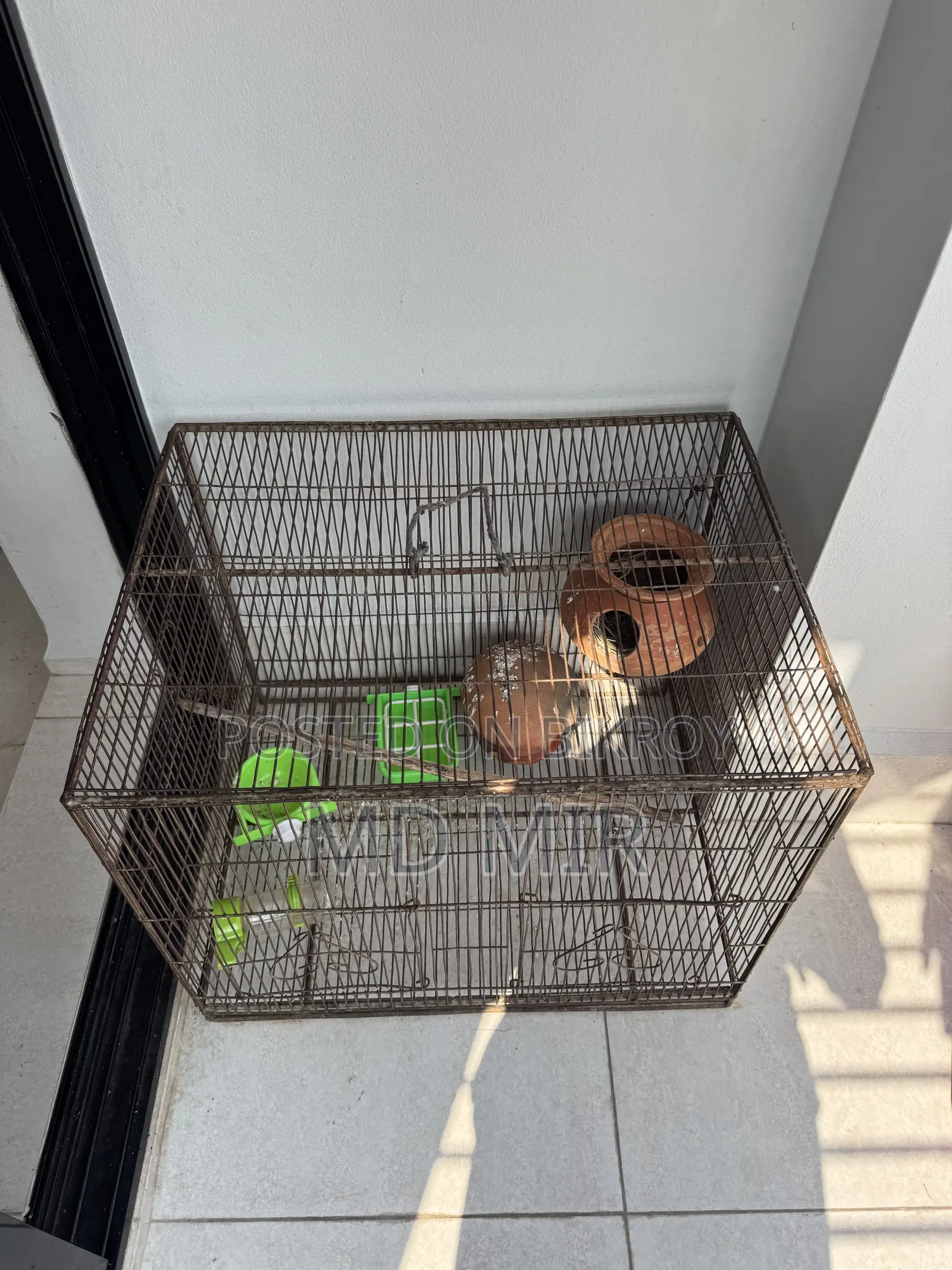 Bird Cage